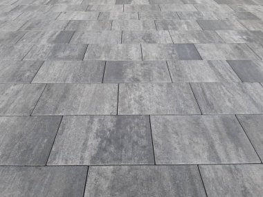 Parktaki dekoratif taş kaldırım yolu.