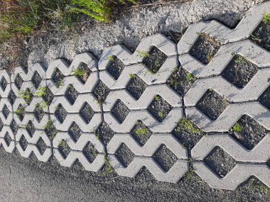 Parktaki dekoratif taş kaldırım yolu.