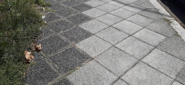 Parktaki dekoratif taş kaldırım yolu.