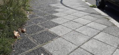 Parktaki dekoratif taş kaldırım yolu.