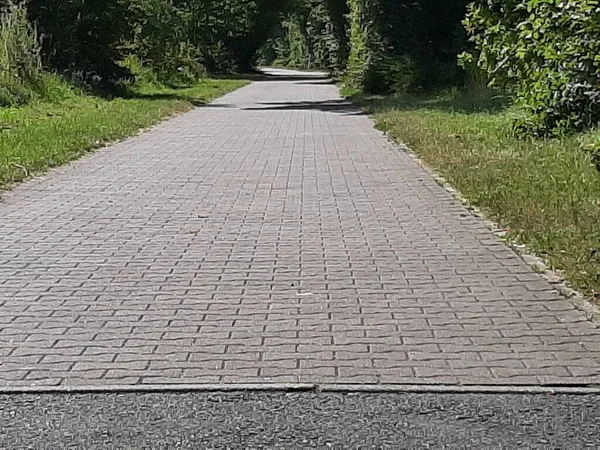 Dekorativ Stenasfalterad Väg Parken — Stockfoto