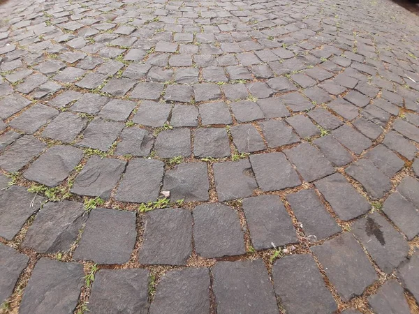 Chaussée Pierre Décorative Route Dans Parc — Photo