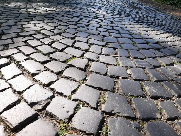 公園内の石畳の装飾道路 — ストック写真