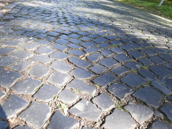 公園内の石畳の装飾道路 — ストック写真