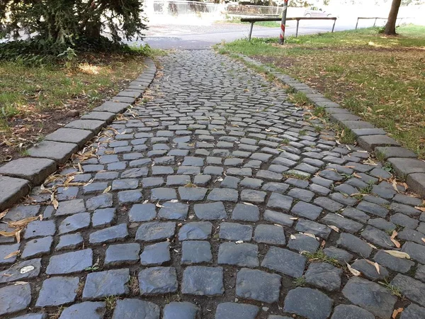 公園内の石畳の装飾道路 — ストック写真