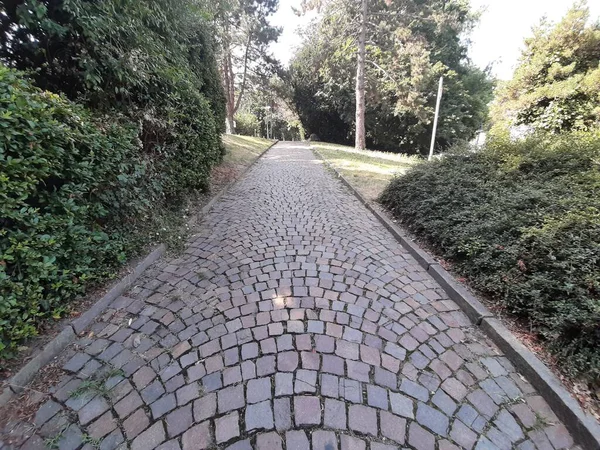 Decorative Stone Pavement Road Park — Stock Photo, Image