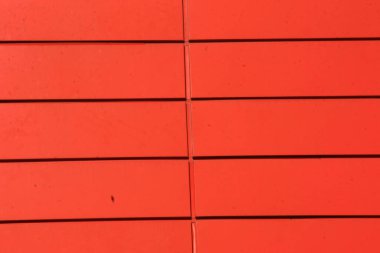 Parktaki dekoratif taş kaldırım yolu.