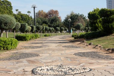 Parktaki dekoratif taş kaldırım yolu.