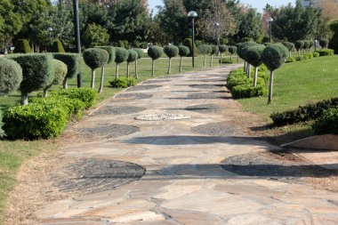 Parktaki dekoratif taş kaldırım yolu.