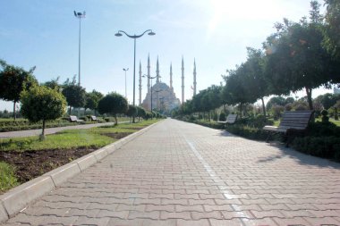 Parktaki dekoratif taş kaldırım yolu.