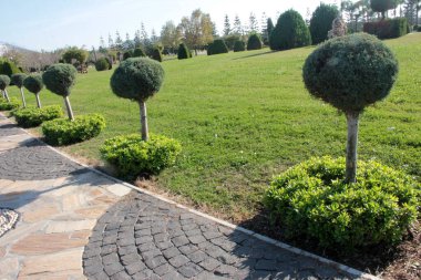 Parktaki dekoratif taş kaldırım yolu.