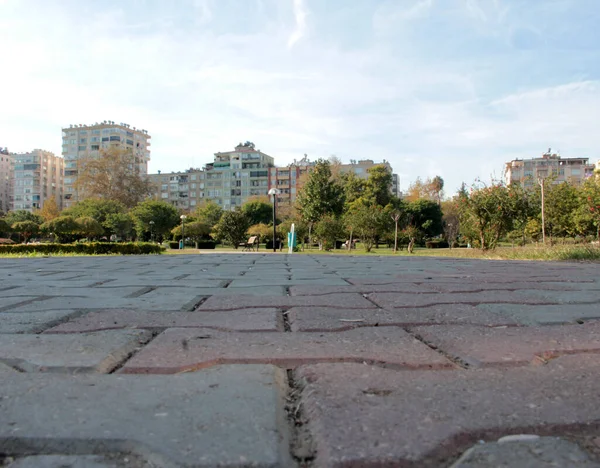 Chaussée Pierre Décorative Route Dans Parc — Photo