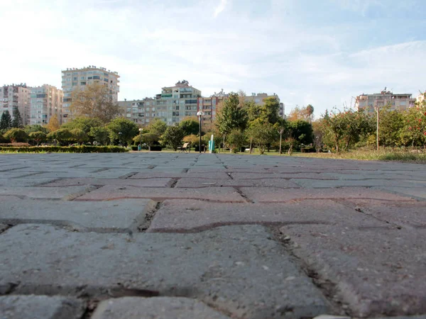 Strada Lastricata Pietra Decorativa Nel Parco — Foto Stock