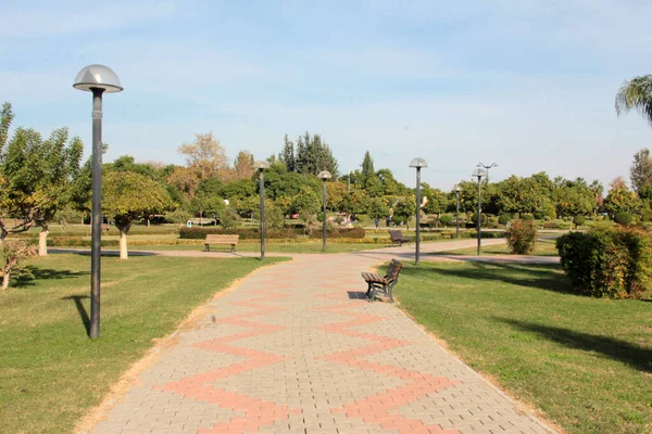 Camino Pavimento Piedra Decorativa Parque — Foto de Stock