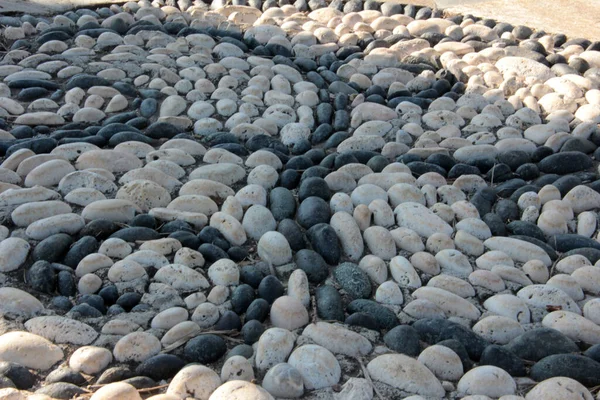 Decorative Stone Pavement Road Park — Stock Photo, Image