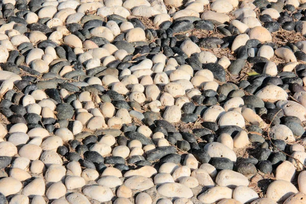 Decorative Stone Pavement Road Park — Stock Photo, Image