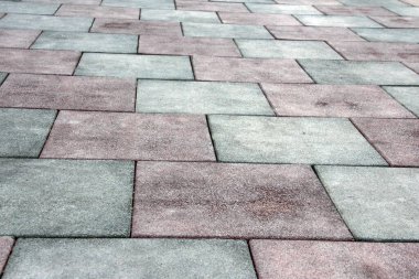 Parktaki dekoratif taş kaldırım yolu.