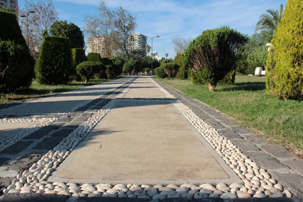 Strada Lastricata Pietra Decorativa Nel Parco — Foto Stock