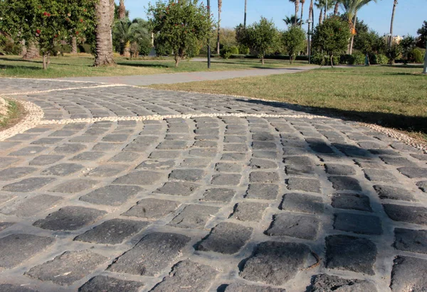 公園内の石畳の装飾道路 — ストック写真