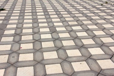 Parktaki dekoratif taş kaldırım yolu.