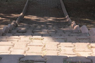 Parktaki dekoratif taş kaldırım yolu.