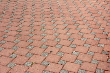 Parktaki dekoratif taş kaldırım yolu.