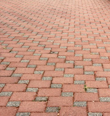 Parktaki dekoratif taş kaldırım yolu.