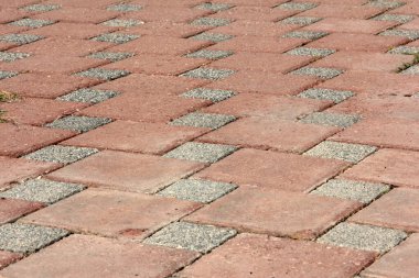 Parktaki dekoratif taş kaldırım yolu.