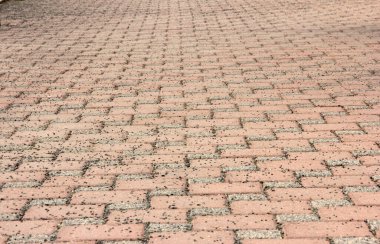 Parktaki dekoratif taş kaldırım yolu.