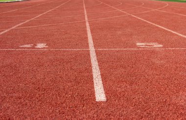 Parktaki dekoratif taş kaldırım yolu.