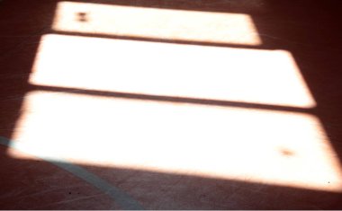 Parktaki dekoratif taş kaldırım yolu.