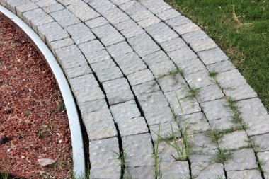 Parktaki dekoratif taş kaldırım yolu.