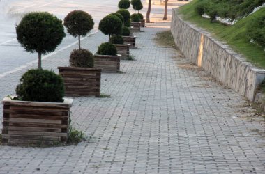 Parktaki dekoratif taş kaldırım yolu.