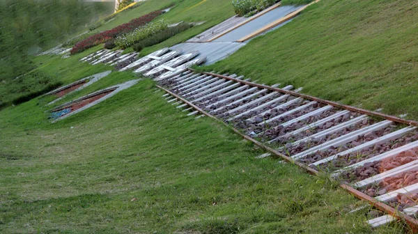 Ziersteinpflasterstraße Park — Stockfoto