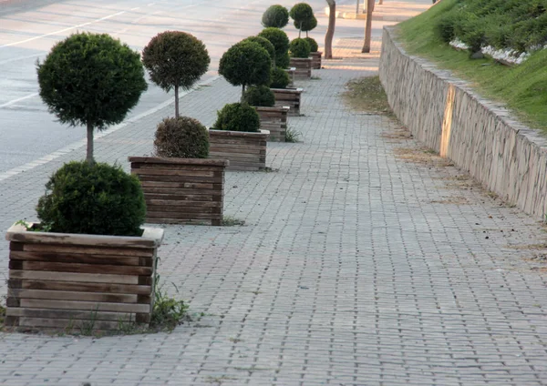 Ziersteinpflasterstraße Park — Stockfoto