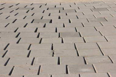 Parktaki dekoratif taş kaldırım yolu.