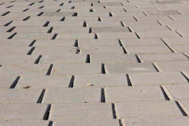 Parktaki dekoratif taş kaldırım yolu.