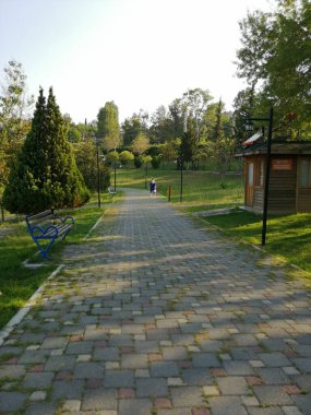 Parktaki dekoratif taş kaldırım yolu.