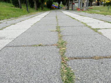 Parktaki dekoratif taş kaldırım yolu.