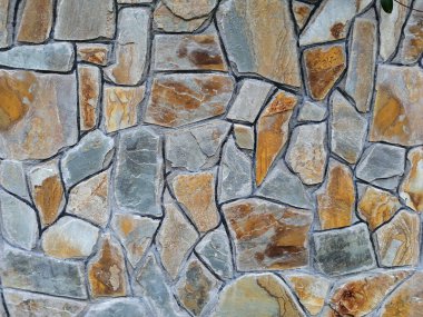 Parktaki dekoratif taş kaldırım yolu.