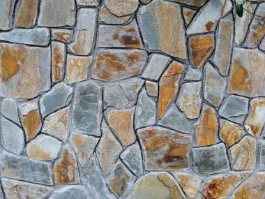 Parktaki dekoratif taş kaldırım yolu.