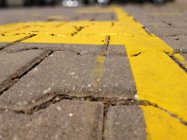 Parktaki dekoratif taş kaldırım yolu.