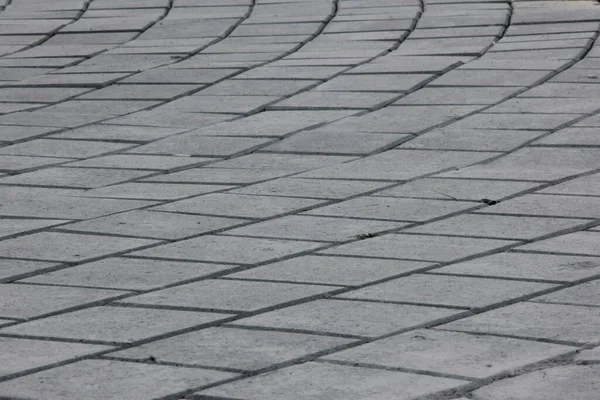 Decorative Stone Pavement Road Park — Stock Photo, Image