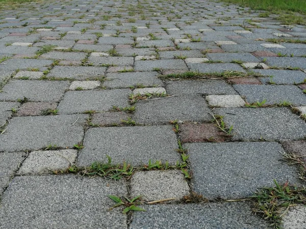 公園内の石畳の装飾道路 — ストック写真