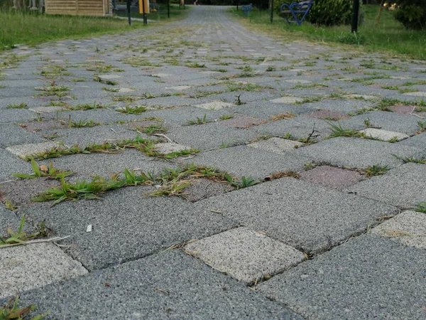 公園内の石畳の装飾道路 — ストック写真