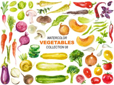 Suluboya vektör boyalı sebzeler elle çizilmiş tasarım elementleri beyaz arkaplanda izole edildi