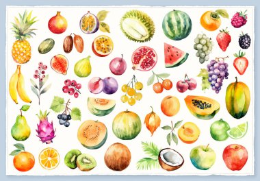 Vektör suluboya stili - beyaz arkaplanda taze meyve zirvesi izole.