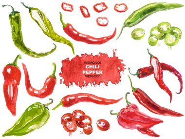 Kırmızı biber boyalı vektör suluboya. El çizimi tasarım ögeleri beyaz arkaplanda izole edildi.