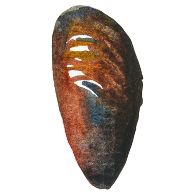 Suluboya midyeler. El yapımı deniz ürünleri tasarım elementi