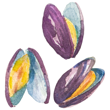 Suluboya midyeler. El yapımı deniz ürünleri tasarım elementi